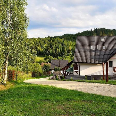 Pensiunea Doina Bucovinei Hotel Mînăstirea Humorului Eksteriør billede