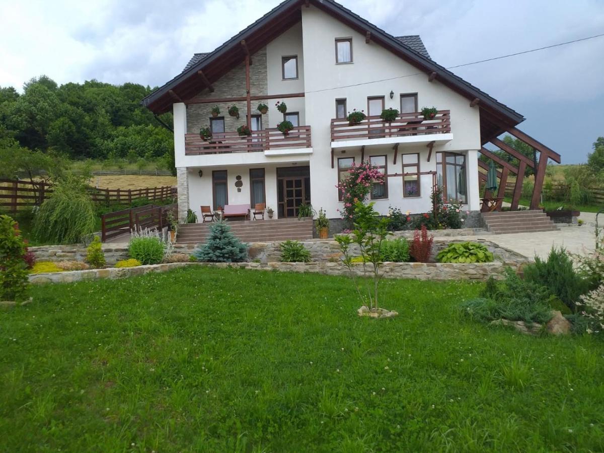 Pensiunea Doina Bucovinei Hotel Mînăstirea Humorului Eksteriør billede