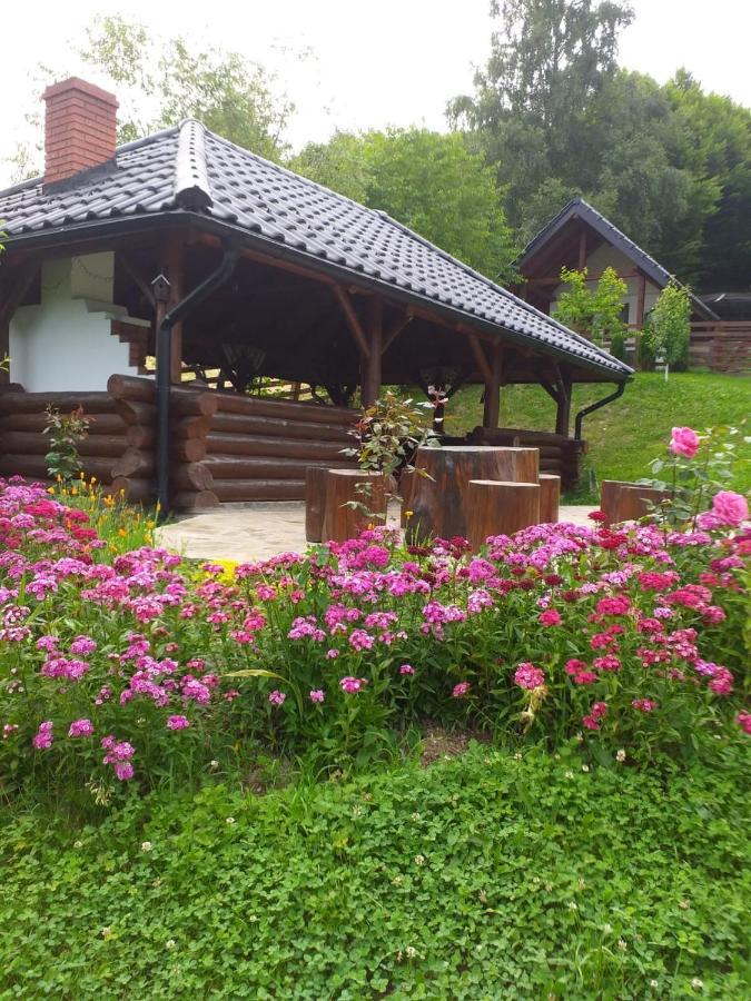 Pensiunea Doina Bucovinei Hotel Mînăstirea Humorului Eksteriør billede