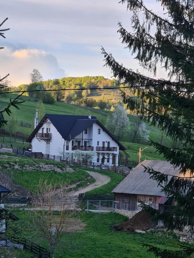 Pensiunea Doina Bucovinei Hotel Mînăstirea Humorului Eksteriør billede