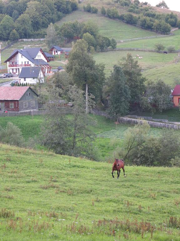 Pensiunea Doina Bucovinei Hotel Mînăstirea Humorului Eksteriør billede