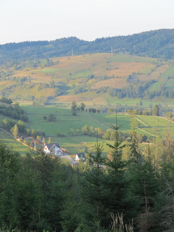 Pensiunea Doina Bucovinei Hotel Mînăstirea Humorului Eksteriør billede