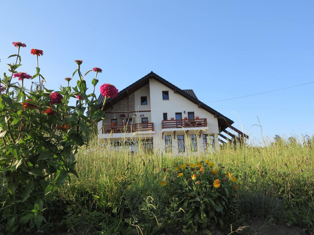 Pensiunea Doina Bucovinei Hotel Mînăstirea Humorului Eksteriør billede