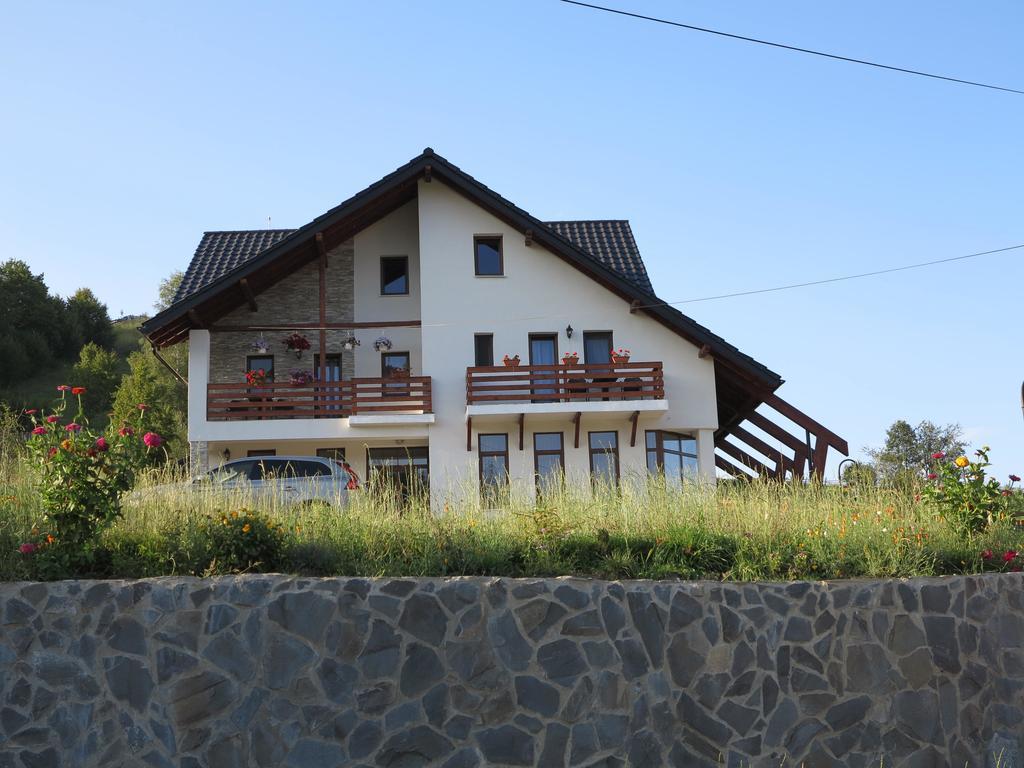 Pensiunea Doina Bucovinei Hotel Mînăstirea Humorului Eksteriør billede