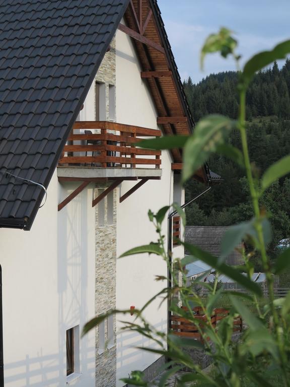 Pensiunea Doina Bucovinei Hotel Mînăstirea Humorului Eksteriør billede