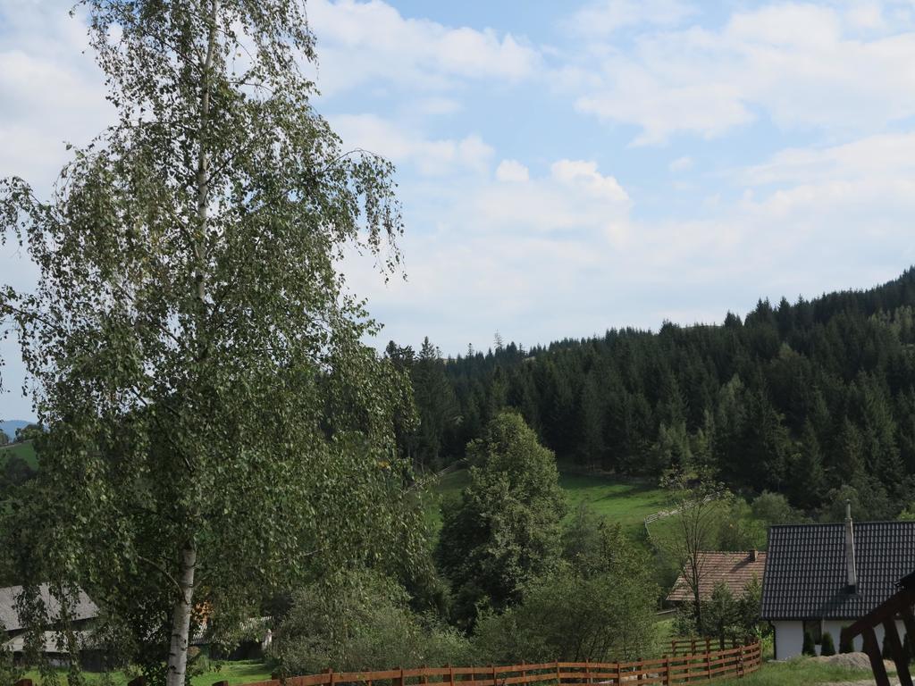 Pensiunea Doina Bucovinei Hotel Mînăstirea Humorului Eksteriør billede